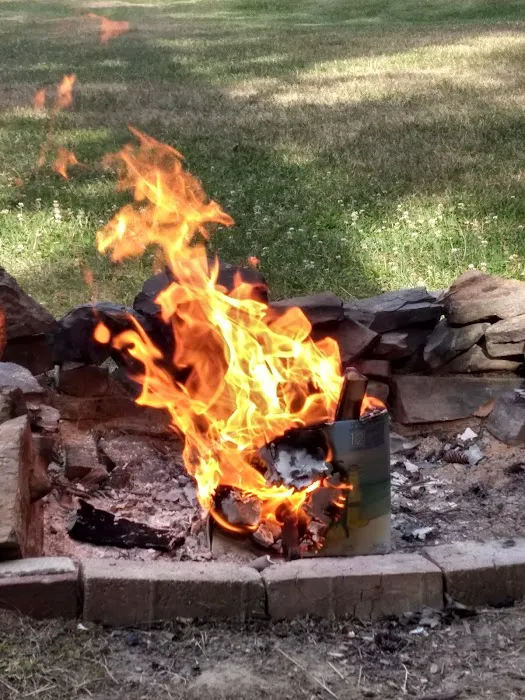 Town Line Camping Picture 6