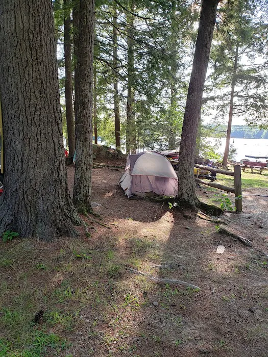 Town Line Camping Picture 4