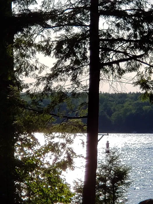 Town Line Camping Picture 5