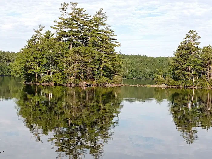 Town Line Camping Picture 7