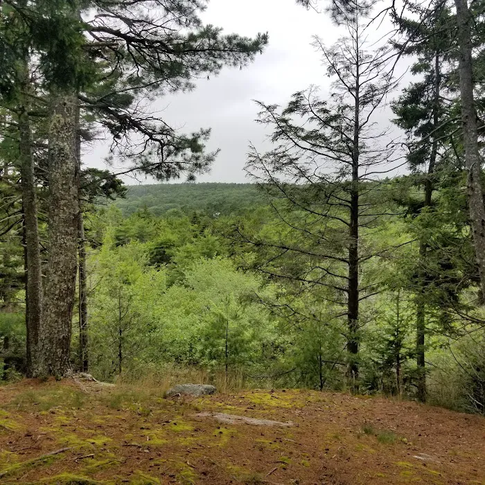 Meadowbrook Camping Area Picture 4