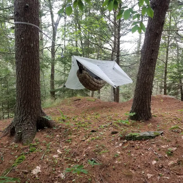 Meadowbrook Camping Area Picture 9