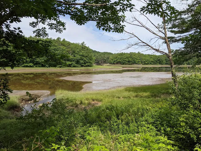 Shore Hills Campground & RV Park Picture 2