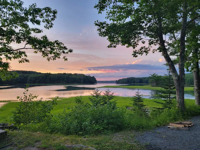 Shore Hills Campground & RV Park Picture 8