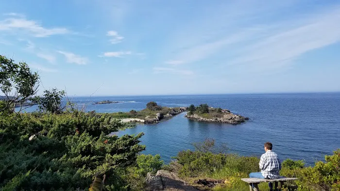 Hermit Island Campground Picture 9