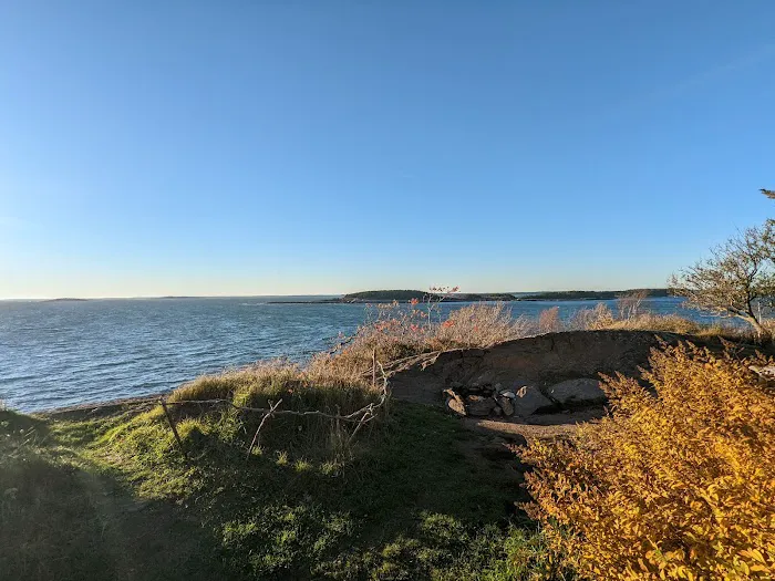 Hermit Island Campground Picture 5