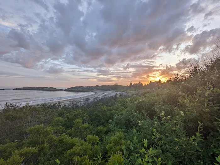 Hermit Island Campground Picture 2