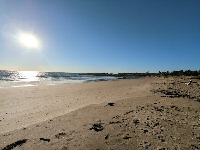 Hermit Island Campground Picture 4