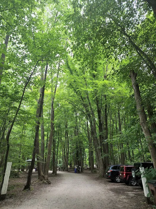 Nelson Ledges Quarry Park Picture 6