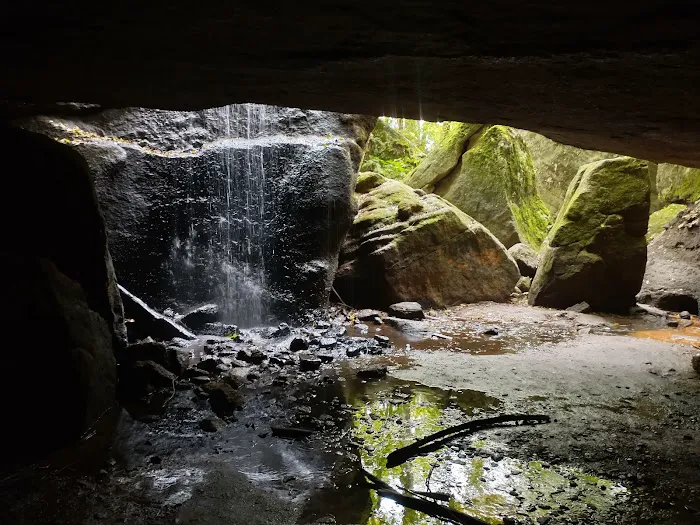 Nelson Ledges Quarry Park Picture 3