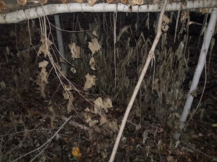 Traveler's Woods Picture 6