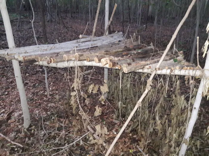 Traveler's Woods Picture 3