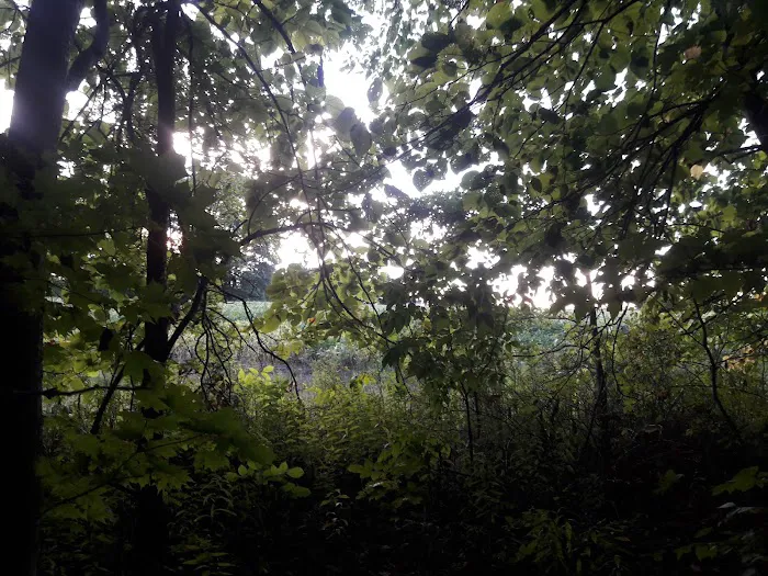 Traveler's Woods Picture 4