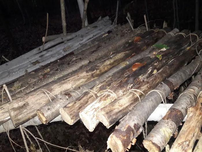 Traveler's Woods Picture 1