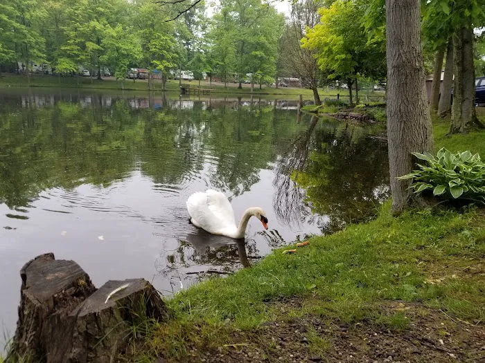 Country Acres Campground & Fun Park Picture 9