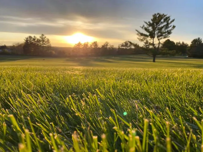 Highland Acres RV Resort Picture 7