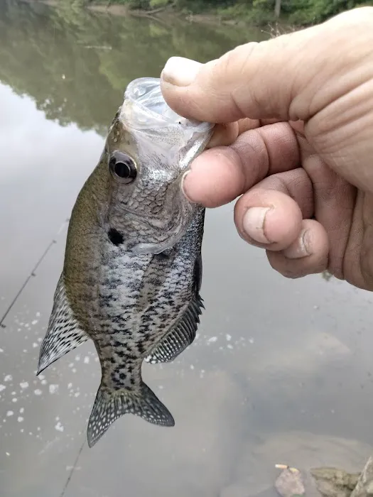 Lakeside Campground Picture 9