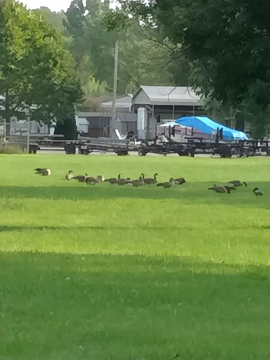 Lakeside Campground Picture 1