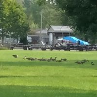 Lakeside Campground ico