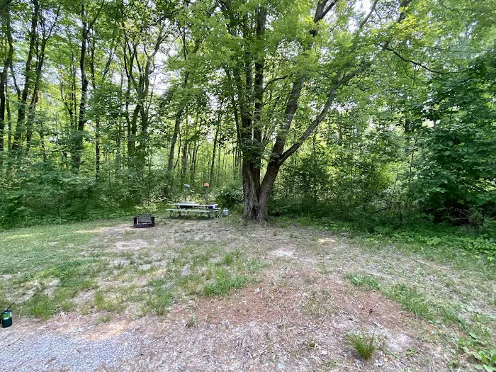 Mill Creek Campground Picture 7