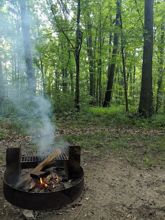 Mill Creek Campground Picture 8