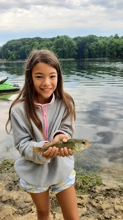 West Branch State Park Campground Picture 1