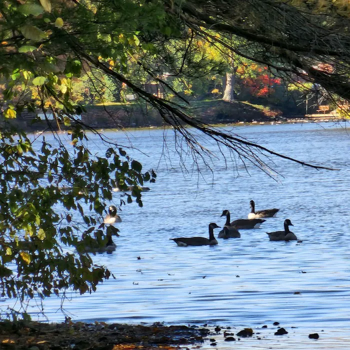 Westville Lake Picture 8