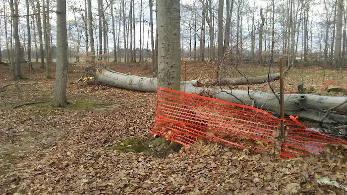 Westville Lake Picture 4