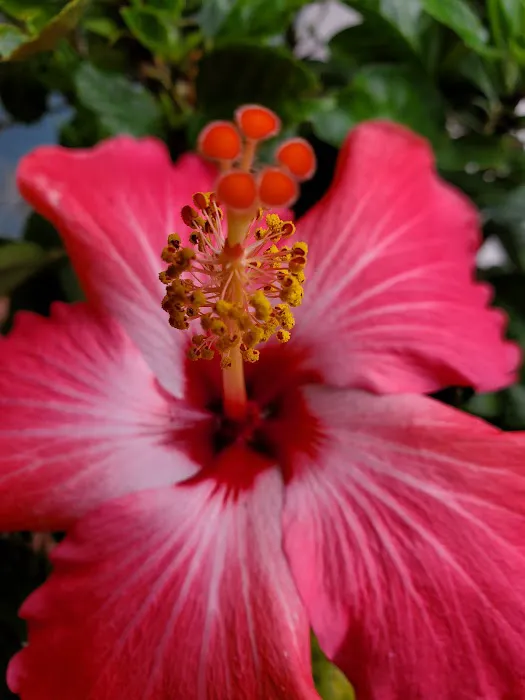 McDermott’s Lakefront Campground Picture 1