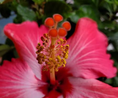 McDermott’s Lakefront Campground