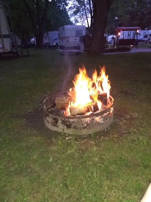 Dr Roach Outdoor League Inc Picture 9