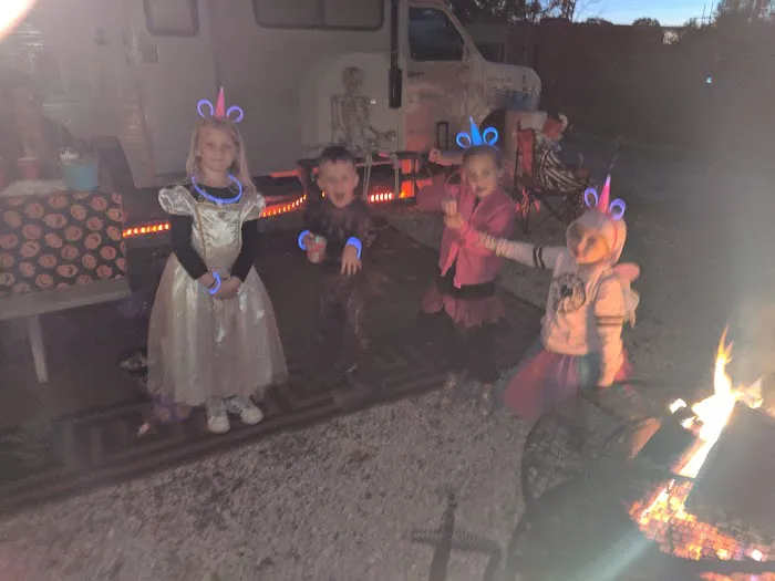 Dr Roach Outdoor League Inc Picture 4