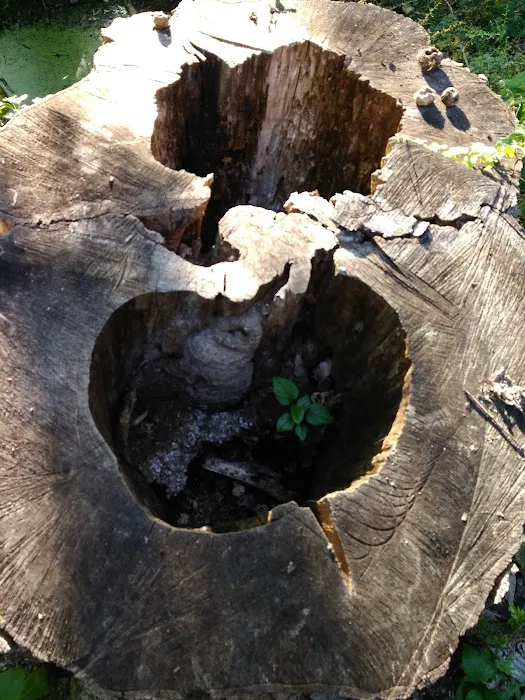 Clewell's Landing Camp at Pinecrest Picture 1