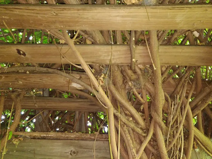 Clewell's Landing Camp at Pinecrest Picture 5