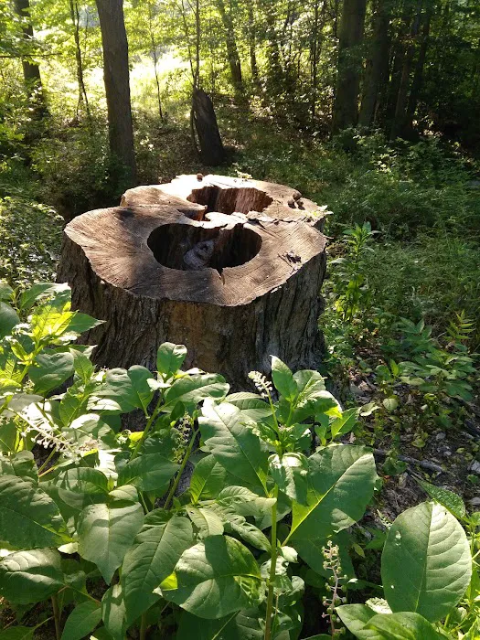 Clewell's Landing Camp at Pinecrest Picture 4