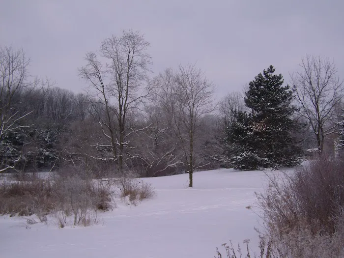 Clewell's Landing Camp LLC Picture 7