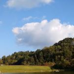 Curtisville Lake and Campground