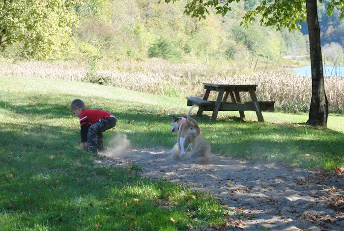 Curtisville Lake and Campground Picture 9