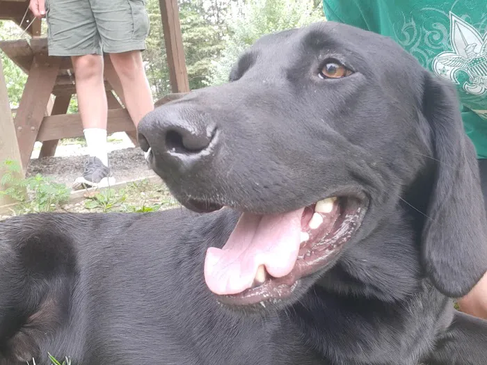 Eagle’s Nest Picture 1