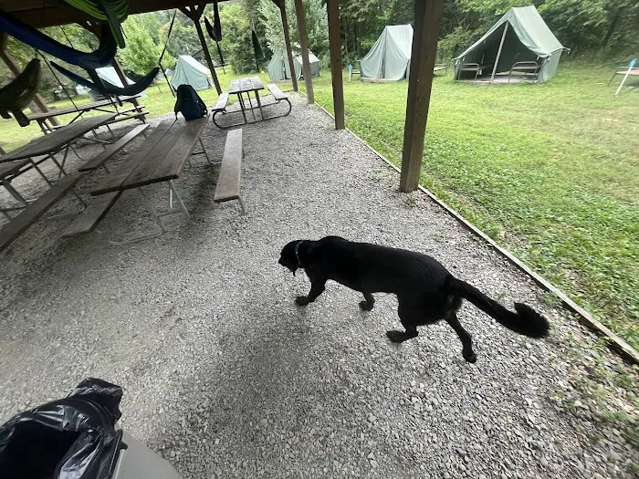 Eagle’s Nest Picture 3