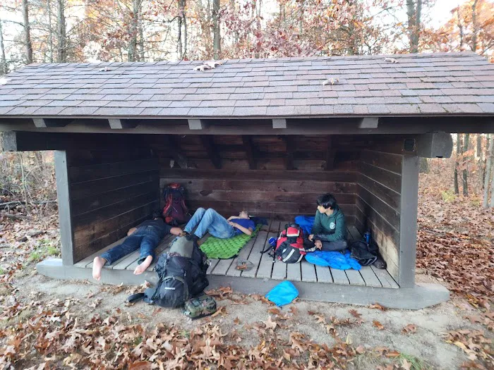 Red Tail Adirondacks Picture 7