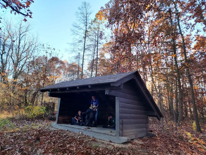 Red Tail Adirondacks Picture 6