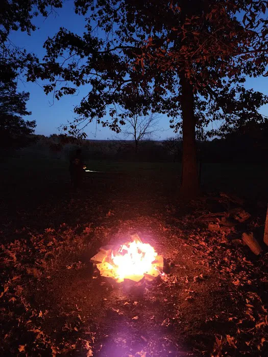 Red Tail Adirondacks Picture 8