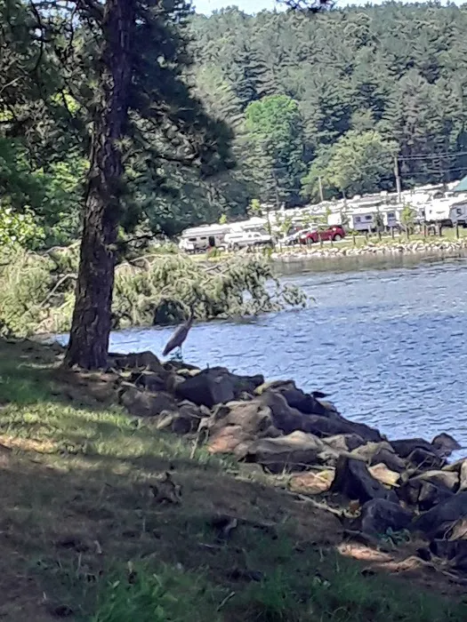 Tappan Park Amphitheater Picture 7