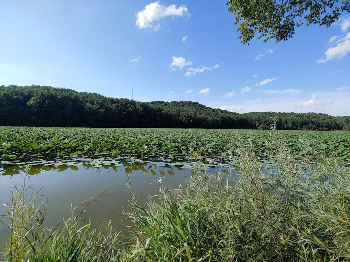 Tappan Lake Park Picture 9