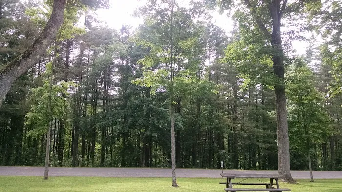 Clendening Lake Marina and Campground Picture 5