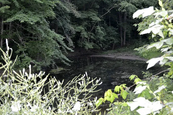 Leesville Lake South Fork Campground Picture 7