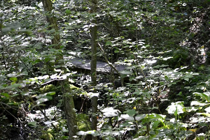 Leesville Lake South Fork Campground Picture 9