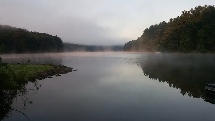 Petersburg Marina & Campgrounds Picture 2