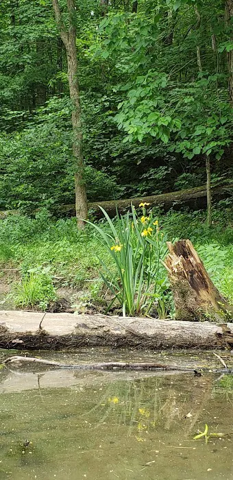 Petersburg Marina & Campgrounds Picture 9